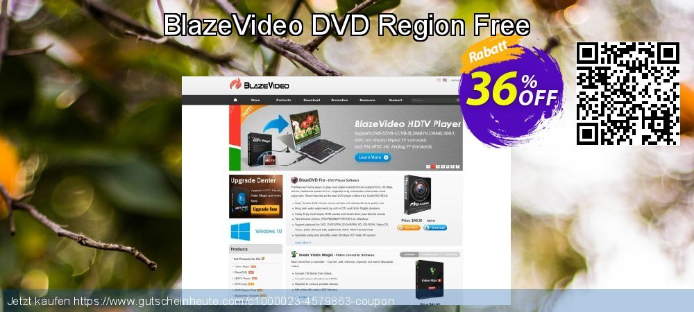 BlazeVideo DVD Region Free klasse Diskont Bildschirmfoto