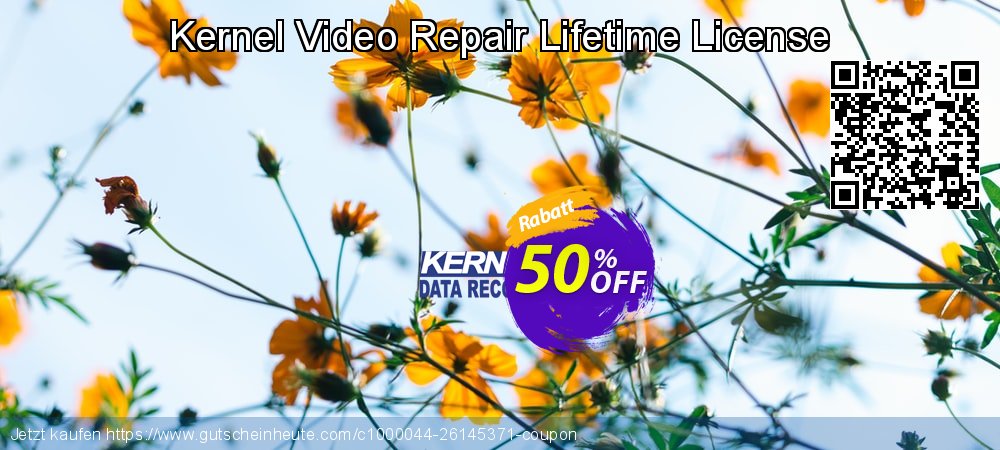 Kernel Video Repair Lifetime License Sonderangebote Preisnachlässe Bildschirmfoto
