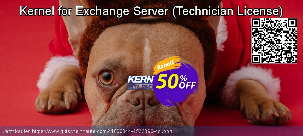 Kernel for Exchange Server - Technician License  verwunderlich Angebote Bildschirmfoto