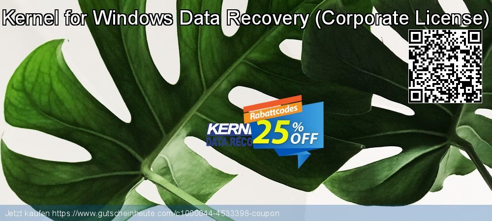 Kernel for Windows Data Recovery - Corporate License  Exzellent Nachlass Bildschirmfoto
