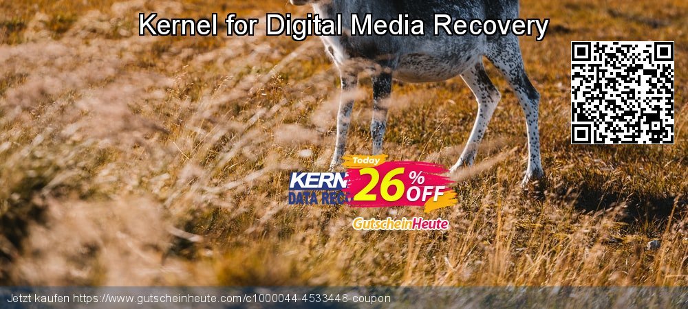 Kernel for Digital Media Recovery fantastisch Promotionsangebot Bildschirmfoto