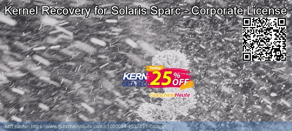 Kernel Recovery for Solaris Sparc - Corporate License exklusiv Ausverkauf Bildschirmfoto