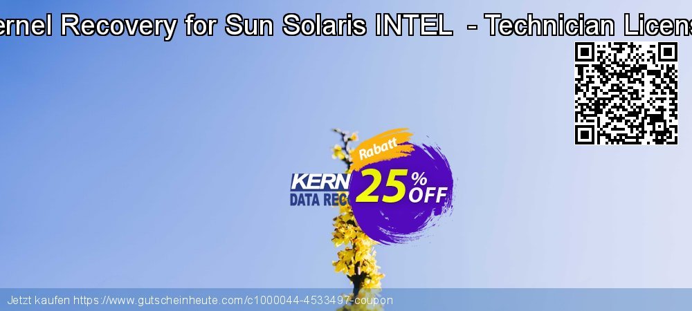 Kernel Recovery for Sun Solaris INTEL  - Technician License geniale Preisnachlässe Bildschirmfoto