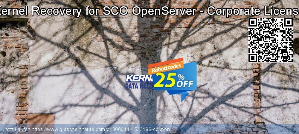 Kernel Recovery for SCO OpenServer - Corporate License aufregende Angebote Bildschirmfoto