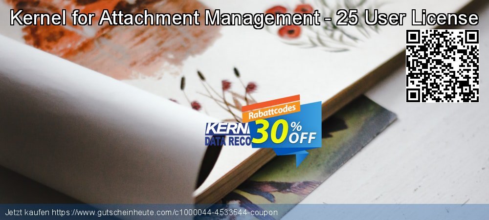 Kernel for Attachment Management - 25 User License atemberaubend Beförderung Bildschirmfoto