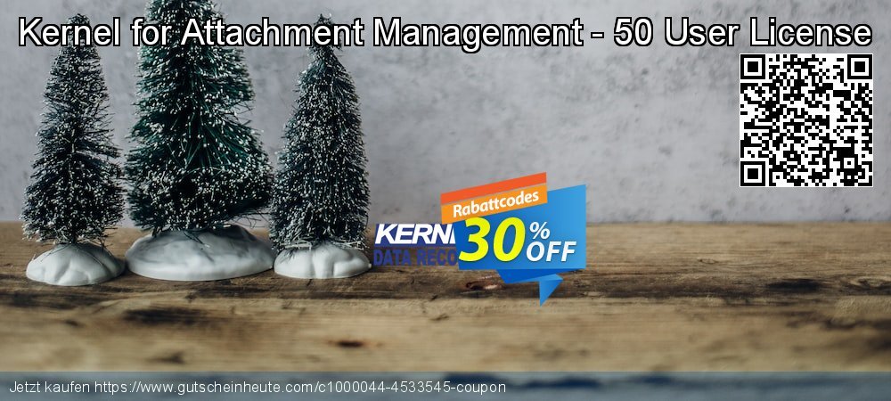 Kernel for Attachment Management - 50 User License super Sale Aktionen Bildschirmfoto