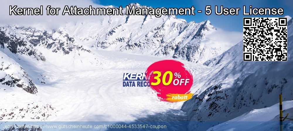 Kernel for Attachment Management - 5 User License verblüffend Ermäßigungen Bildschirmfoto
