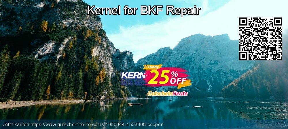 Kernel for BKF Repair verblüffend Preisreduzierung Bildschirmfoto