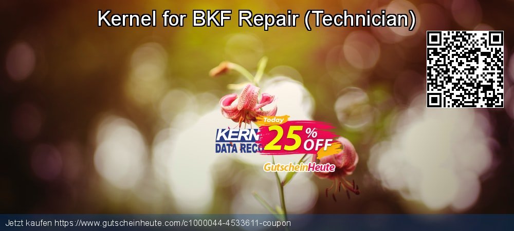 Kernel for BKF Repair - Technician  überraschend Förderung Bildschirmfoto
