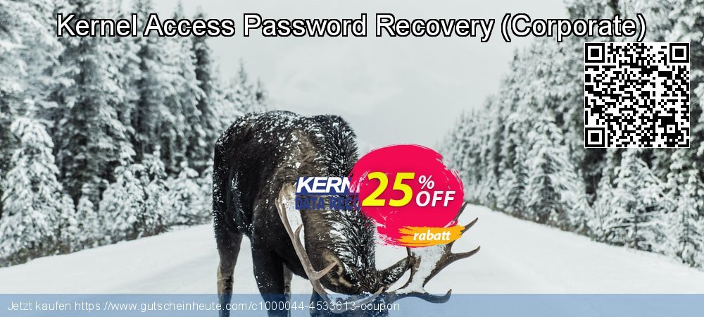 Kernel Access Password Recovery - Corporate  verwunderlich Sale Aktionen Bildschirmfoto