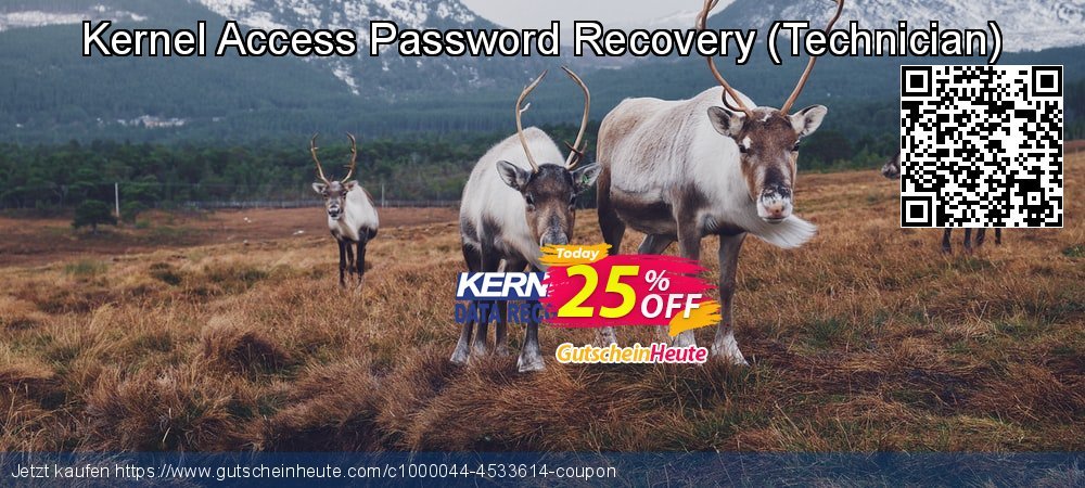 Kernel Access Password Recovery - Technician  toll Rabatt Bildschirmfoto