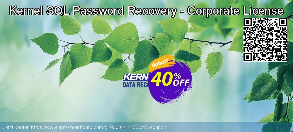 Kernel SQL Password Recovery - Corporate License Exzellent Ermäßigungen Bildschirmfoto