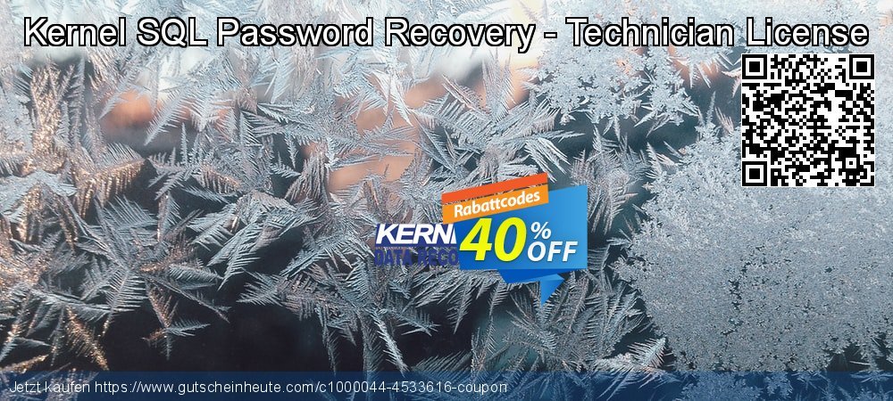 Kernel SQL Password Recovery - Technician License beeindruckend Preisnachlässe Bildschirmfoto