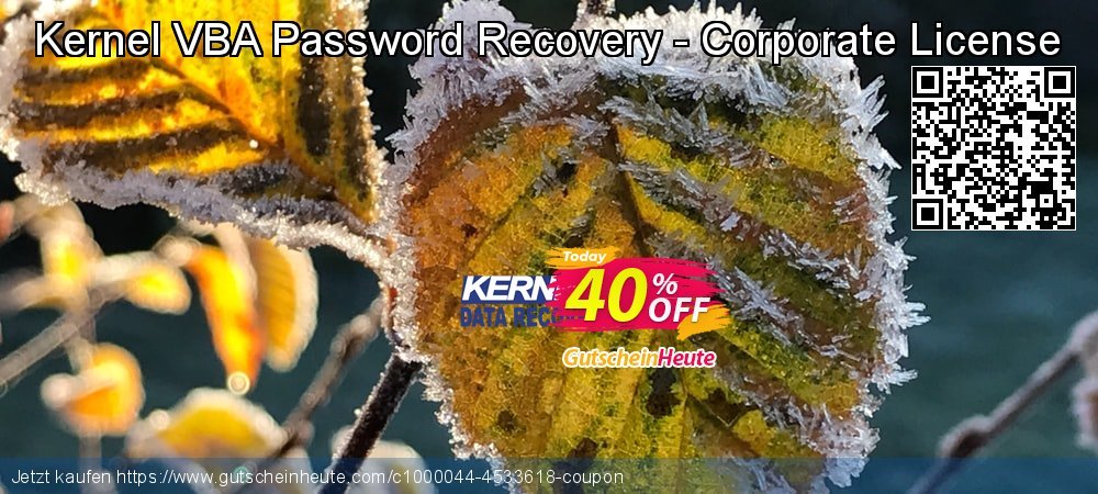 Kernel VBA Password Recovery - Corporate License aufregenden Promotionsangebot Bildschirmfoto