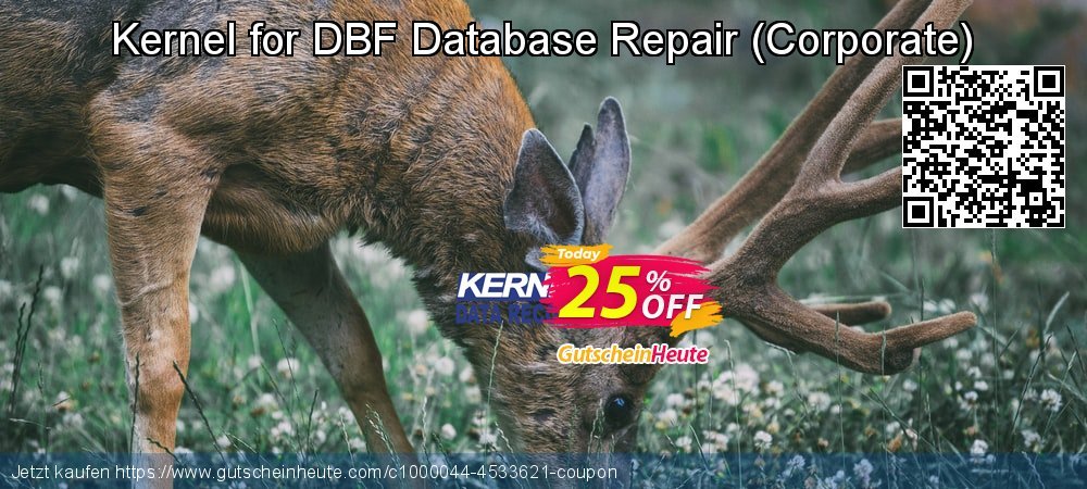 Kernel for DBF Database Repair - Corporate  geniale Ermäßigung Bildschirmfoto