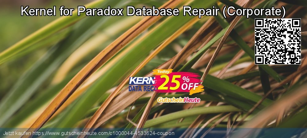 Kernel for Paradox Database Repair - Corporate  spitze Ausverkauf Bildschirmfoto