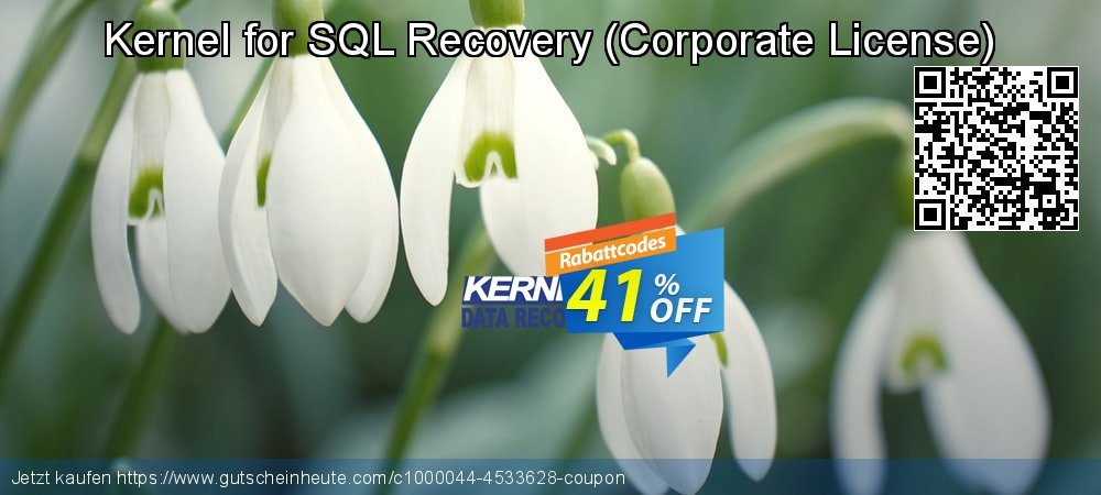 Kernel for SQL Recovery - Corporate License  ausschließlich Förderung Bildschirmfoto