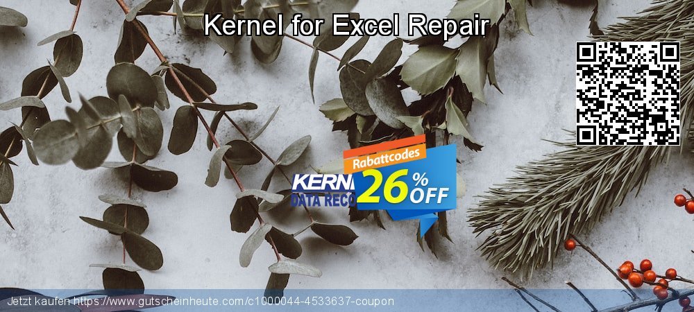 Kernel for Excel Repair atemberaubend Diskont Bildschirmfoto