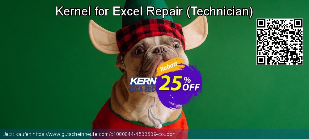 Kernel for Excel Repair - Technician  wunderschön Disagio Bildschirmfoto