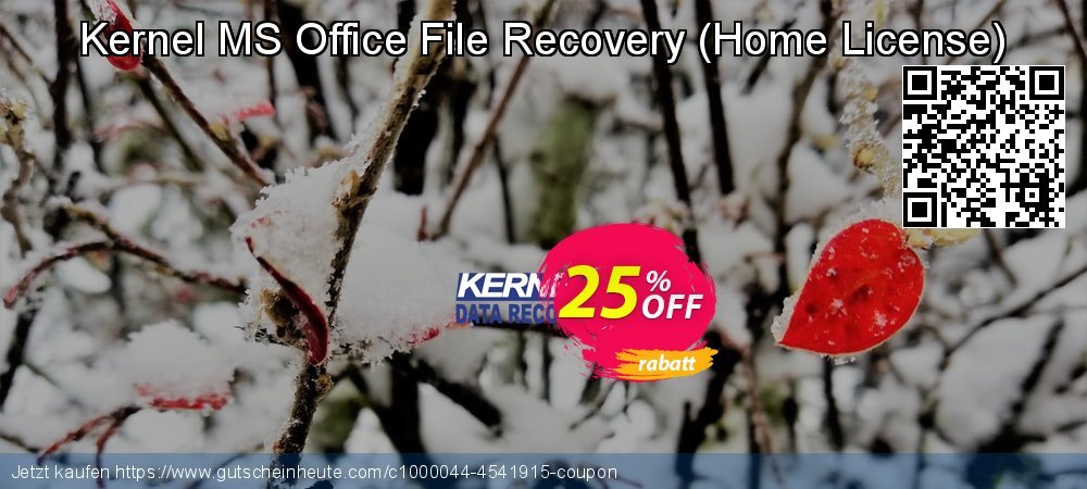 Kernel MS Office File Recovery - Home License  super Nachlass Bildschirmfoto