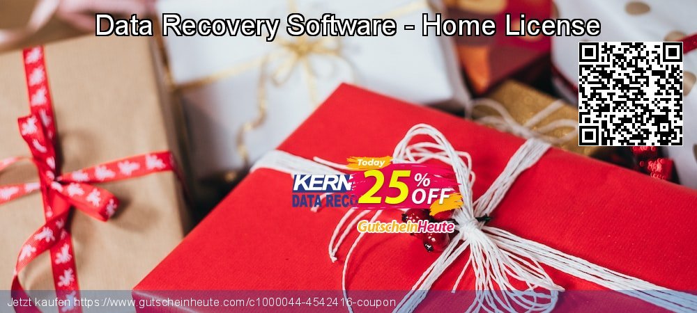 Data Recovery Software - Home License formidable Preisnachlass Bildschirmfoto