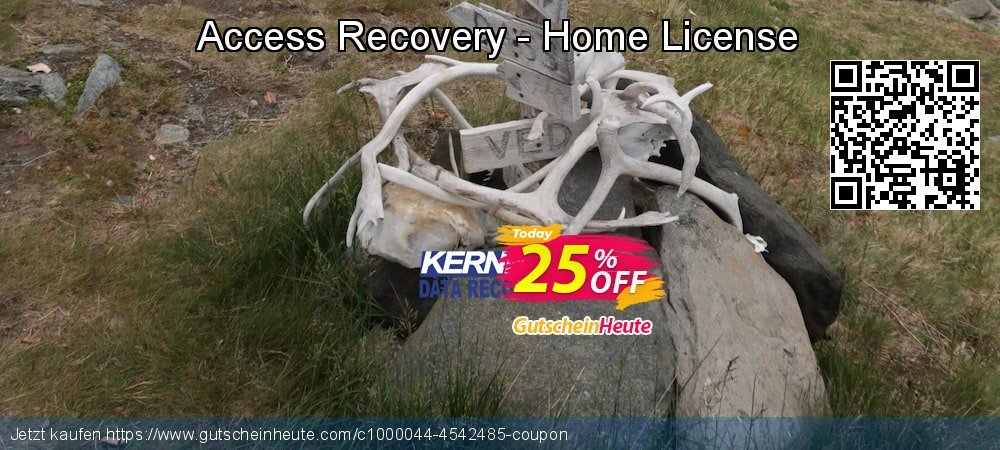 Access Recovery - Home License umwerfende Förderung Bildschirmfoto