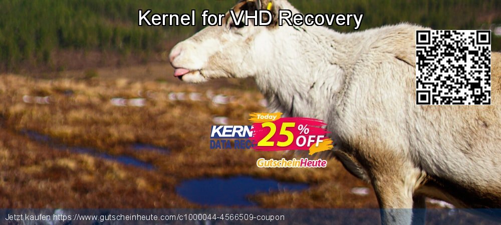Kernel for VHD Recovery aufregenden Rabatt Bildschirmfoto