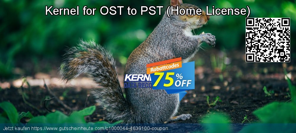 Kernel for OST to PST - Home License  super Ermäßigungen Bildschirmfoto