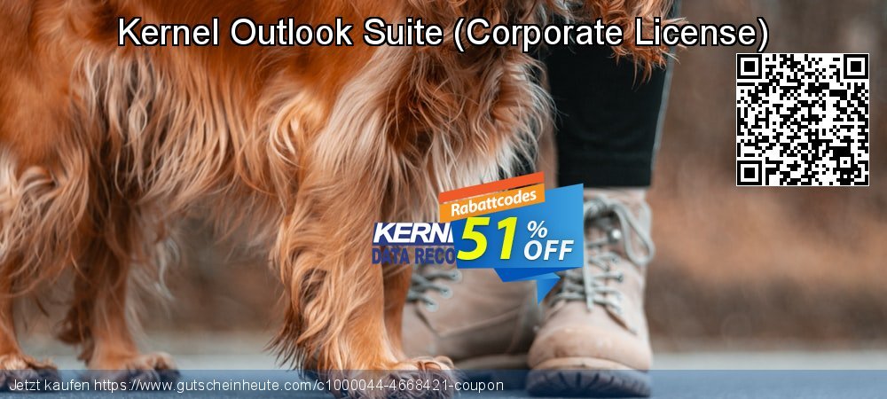 Kernel Outlook Suite - Corporate License  unglaublich Förderung Bildschirmfoto