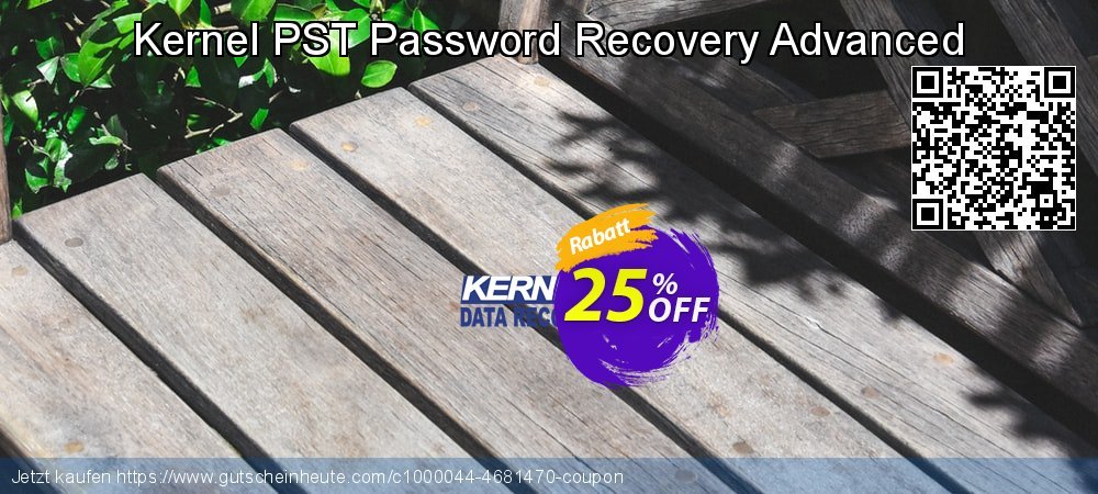 Kernel PST Password Recovery Advanced Sonderangebote Ermäßigung Bildschirmfoto