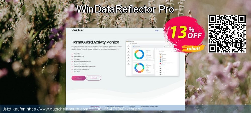 WinDataReflector Pro Sonderangebote Angebote Bildschirmfoto