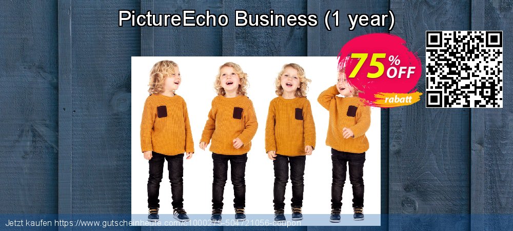 PictureEcho Business - 1 year  beeindruckend Ermäßigungen Bildschirmfoto