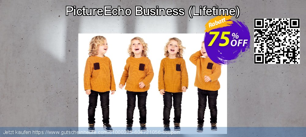 PictureEcho Business - Lifetime  besten Rabatt Bildschirmfoto
