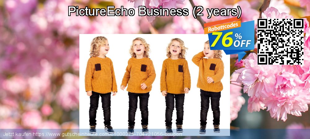 PictureEcho Business - 2 years  verwunderlich Sale Aktionen Bildschirmfoto