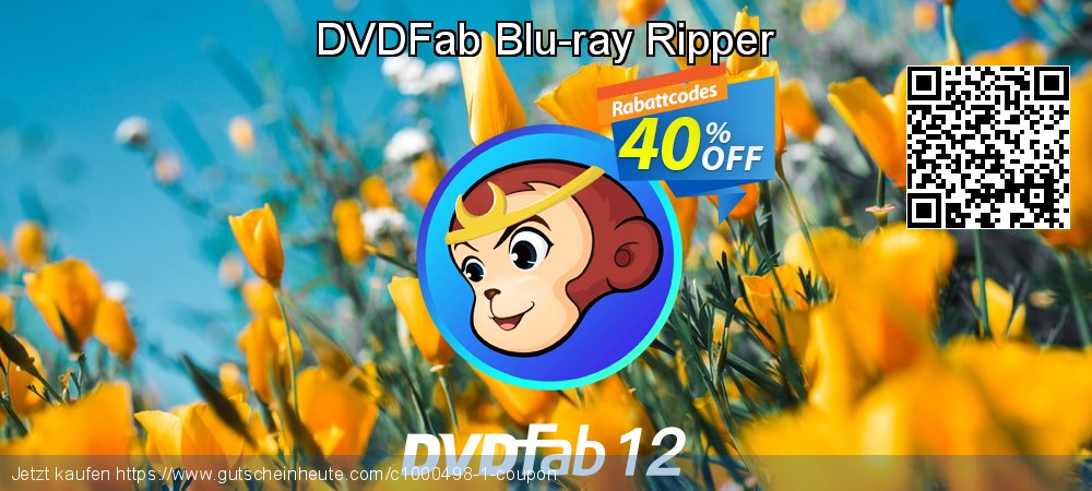 DVDFab Blu-ray Ripper Exzellent Verkaufsförderung Bildschirmfoto