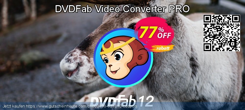 DVDFab Video Converter PRO Sonderangebote Außendienst-Promotions Bildschirmfoto