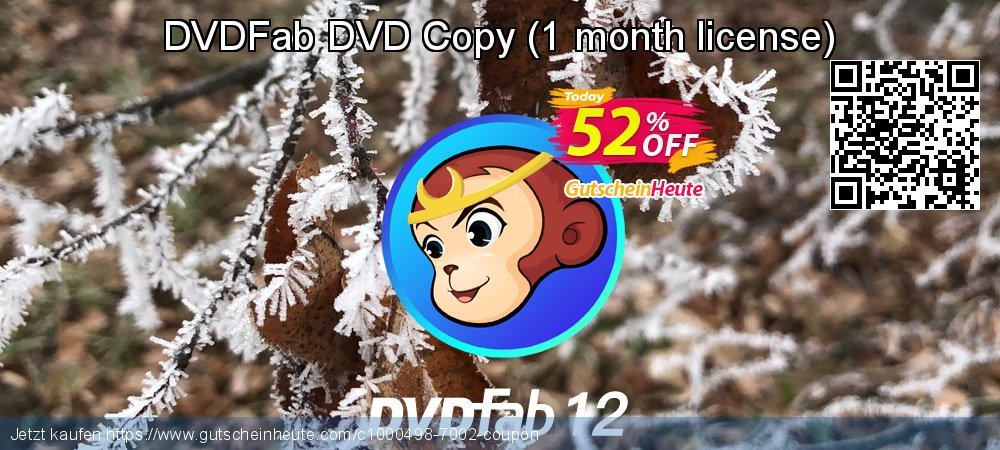 DVDFab DVD Copy - 1 month license  überraschend Ermäßigung Bildschirmfoto