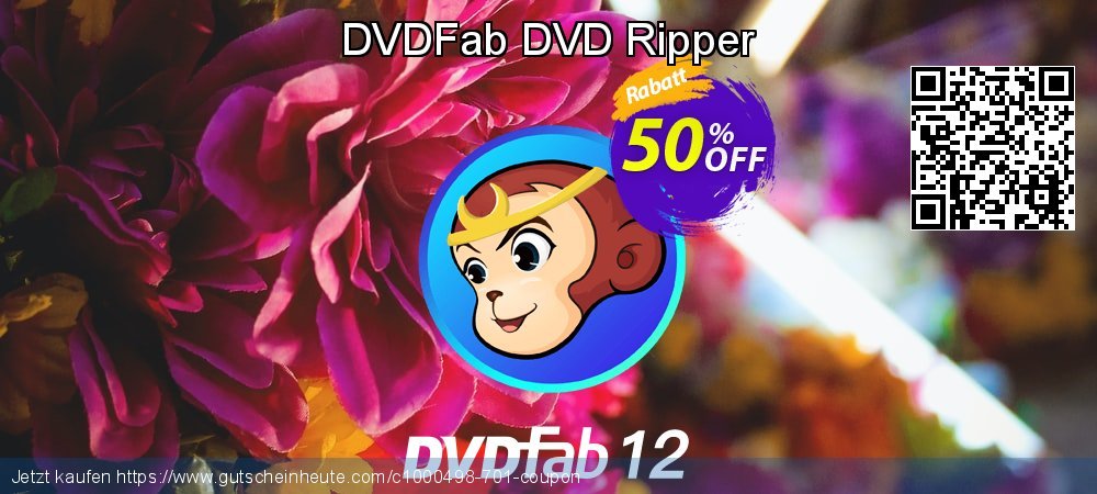 DVDFab DVD Ripper klasse Rabatt Bildschirmfoto