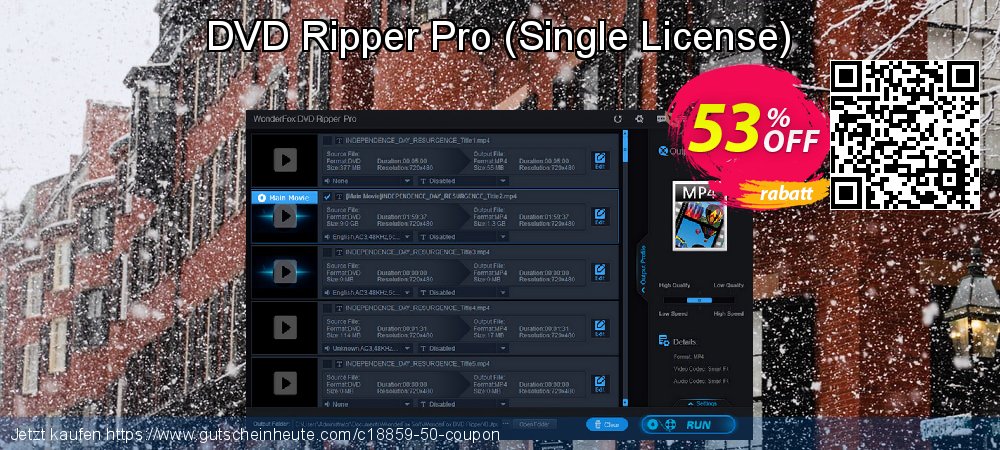 DVD Ripper Pro - Single License  wunderschön Disagio Bildschirmfoto