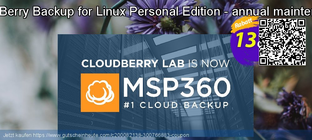 CloudBerry Backup for Linux Personal Edition - annual maintenance besten Ausverkauf Bildschirmfoto