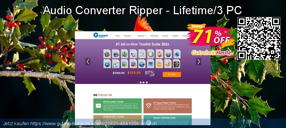 Audio Converter Ripper - Lifetime/3 PC klasse Promotionsangebot Bildschirmfoto