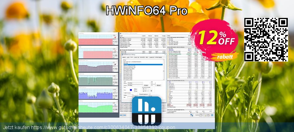 HWiNFO64 Pro fantastisch Diskont Bildschirmfoto