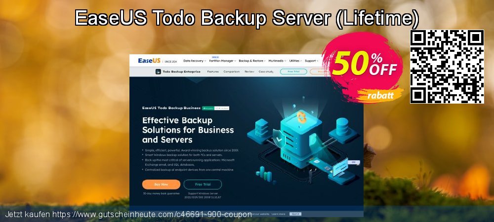 EaseUS Todo Backup Server - Lifetime  beeindruckend Außendienst-Promotions Bildschirmfoto
