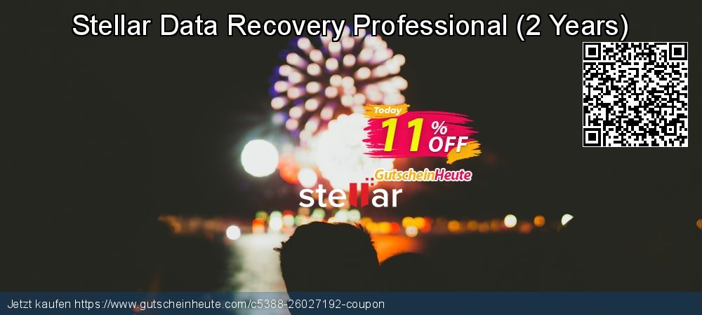 Stellar Data Recovery Professional - 2 Years  wundervoll Außendienst-Promotions Bildschirmfoto