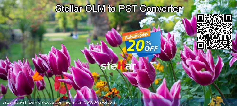 Stellar OLM to PST Converter Sonderangebote Angebote Bildschirmfoto